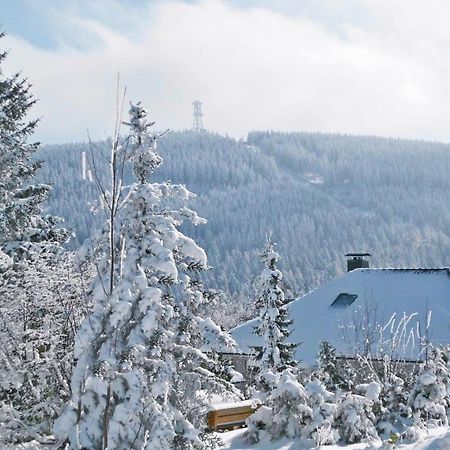 Premium-Ferienwohnungen Bergblick Im Haus Hopfe Гослар Екстер'єр фото