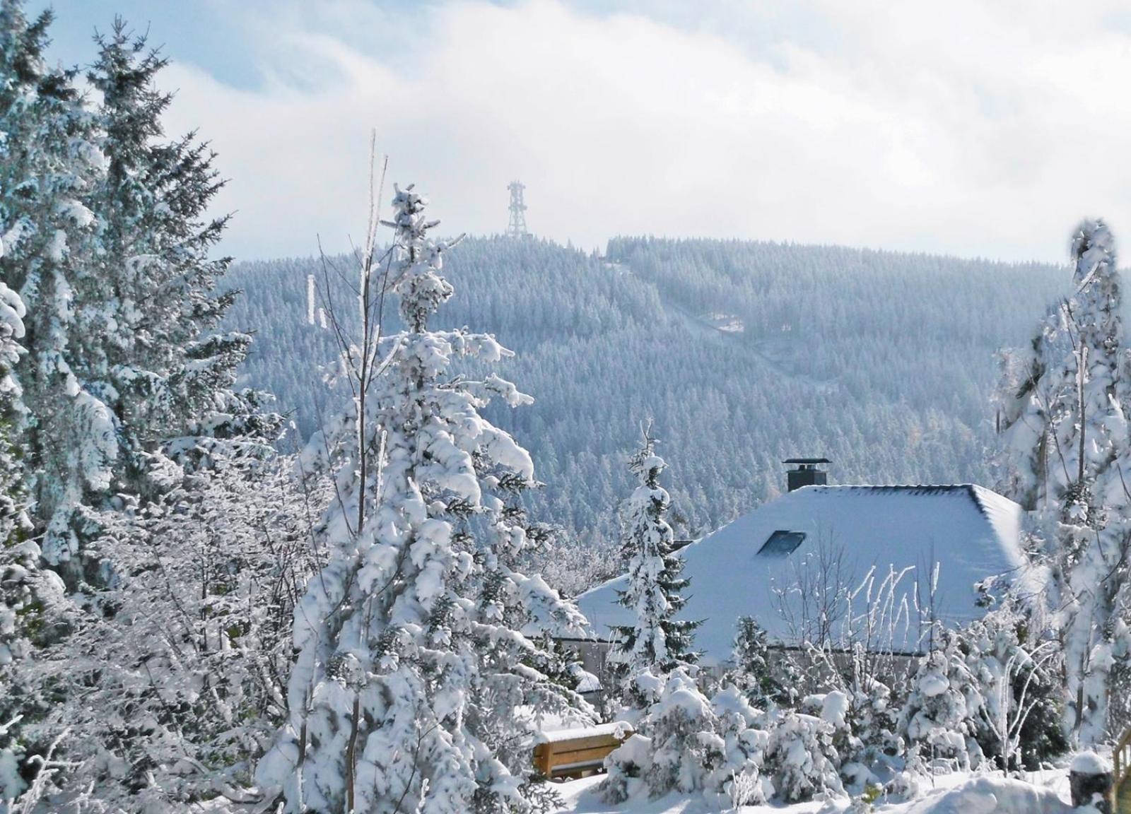 Premium-Ferienwohnungen Bergblick Im Haus Hopfe Гослар Екстер'єр фото