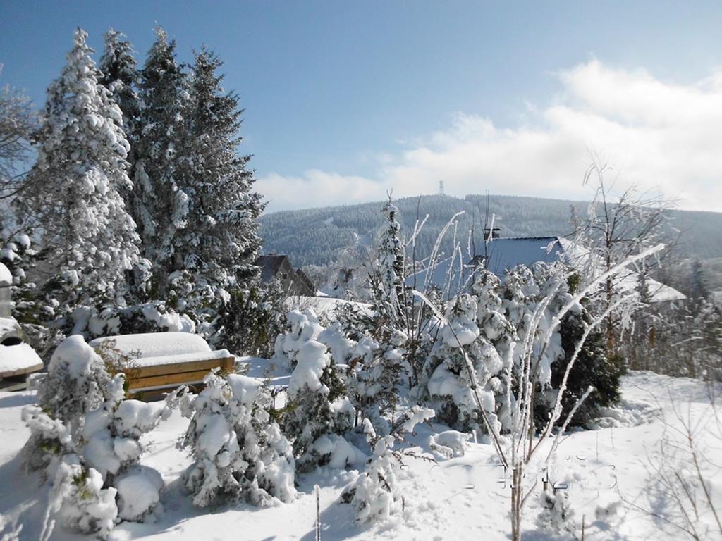 Premium-Ferienwohnungen Bergblick Im Haus Hopfe Гослар Екстер'єр фото