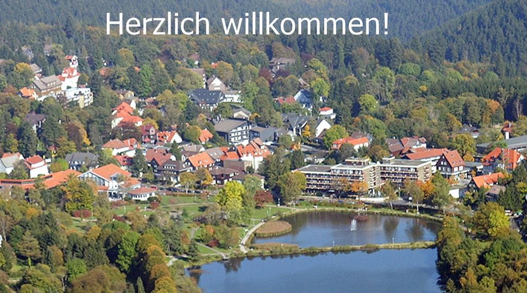 Premium-Ferienwohnungen Bergblick Im Haus Hopfe Гослар Екстер'єр фото